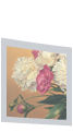 Peonies